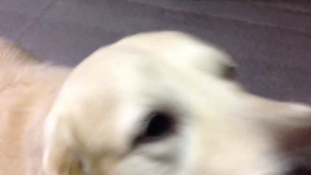 13 октября 2015 г.