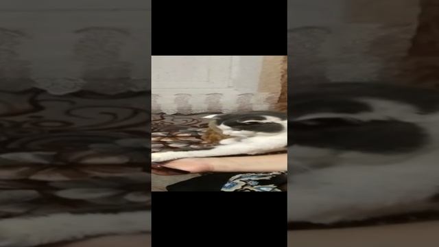 И это все о нас