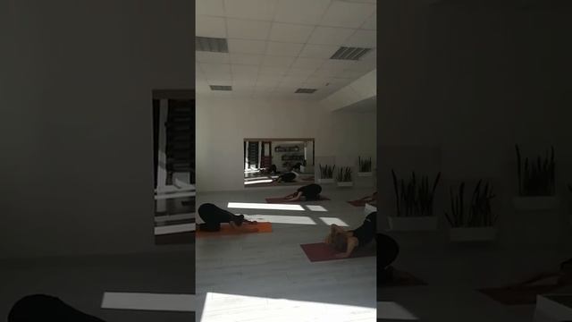 4 августа 2022 г.