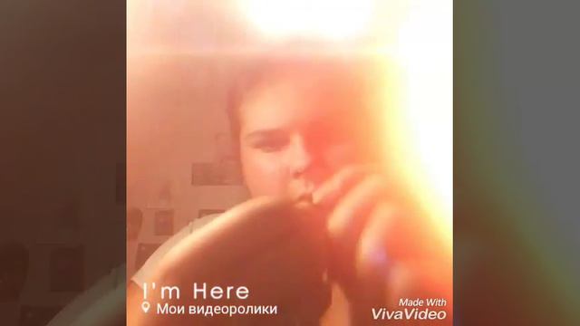 Мне купят шиншиллу?!