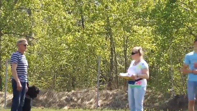 MAQ08289 11.05.2019 Чемпионат УРФО