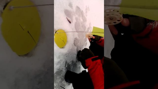 Рыбачим с Олегам