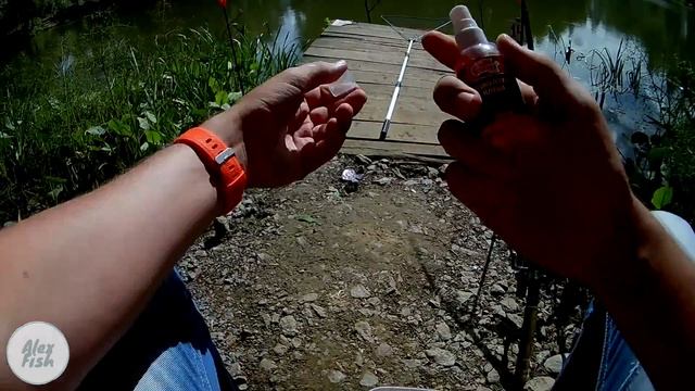 Карп на фидер чуть не утащил удилище!!!!! Рыбалка на незнакомом водоёме - Подмосковье.