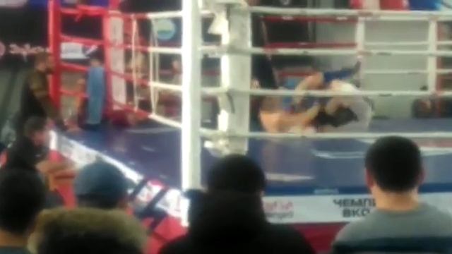 ММА семей 2017