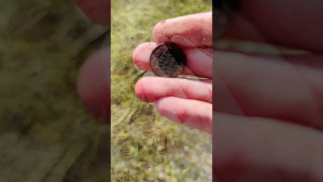 Красивая находка 😻 #shorts #treasure #шурф #коп #история