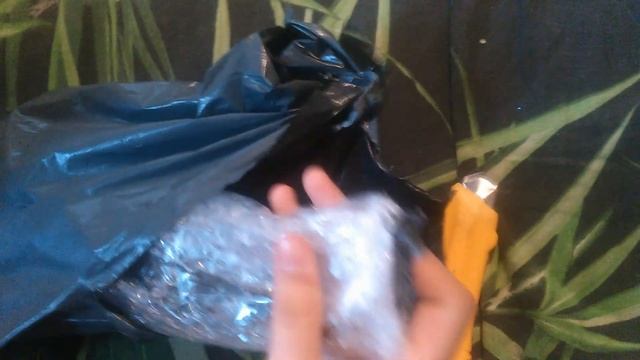 061d312270952ff87e09aae823bd45b0