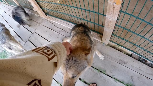 12762270acd3279d713c9f931c68c464