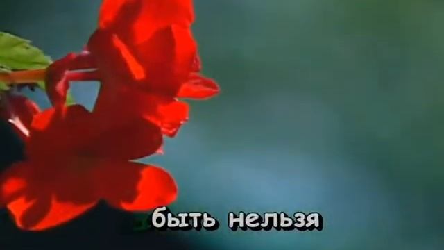 Старое кафе Кальянов  Флеш