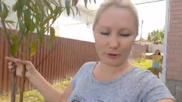 VLOG: Я НЕУГОМОННАЯ! ВСЯ МОРДА В ШРАМАХ?