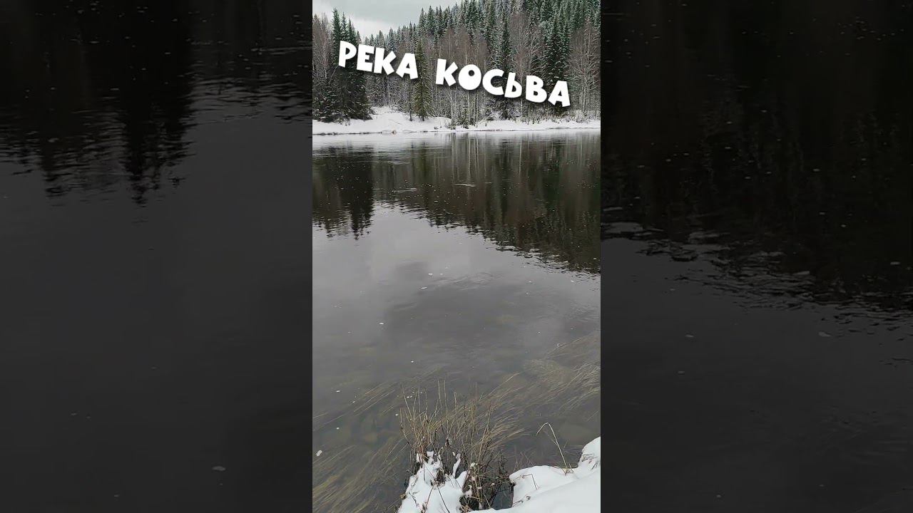 РЕКА КОСЬВА. ВЕСНА. ☀️  #shorts  #природа #урал #красота #Россия #пермскийкрай