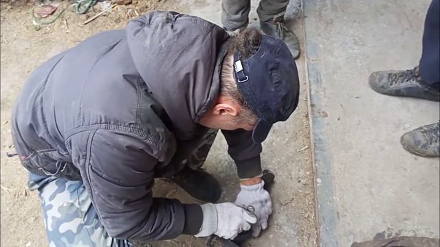 Стильные тенденции