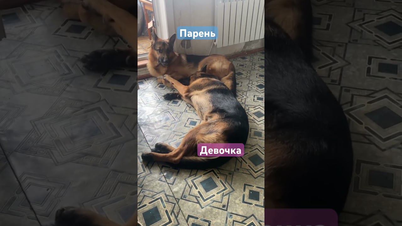 52566df9ed866ce4247a119a73db63a8