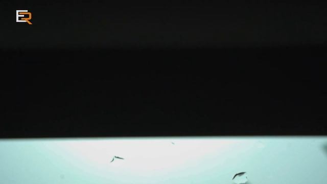 Авто-техническая кулинария