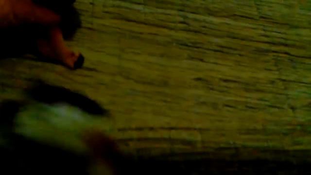 34215db6568ffb9fd86b6c4681a32edb