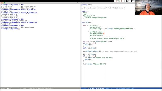 Using The Go Language For Efficient Oracle Database Applications