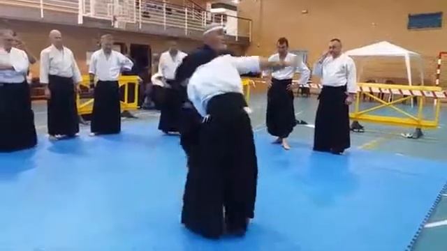 HAKKO RYU JUJUTSU