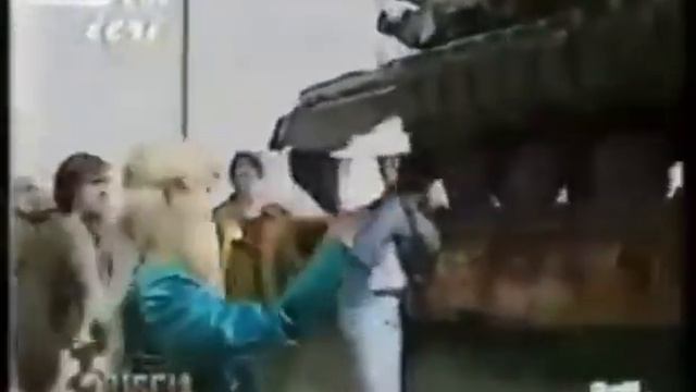 голубь мира...