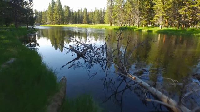 The MYTH Of The Shenandoah Wilderness