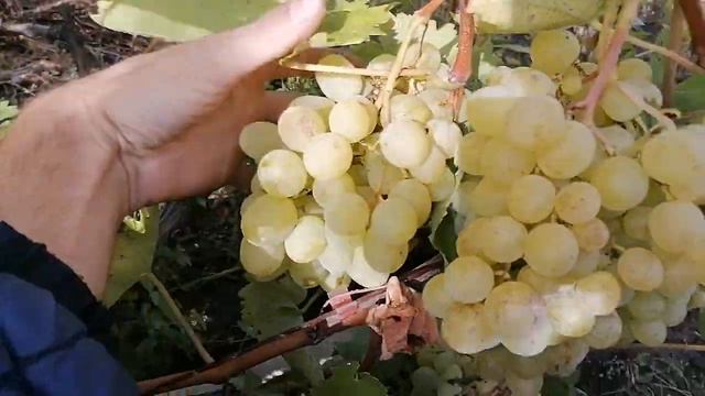 F410a4c97df12a7060b2223a9d47b3fe