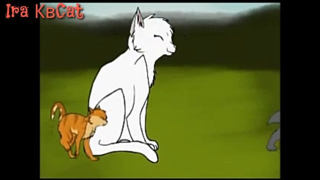 Коты Воители:Ошибка:Пепелица