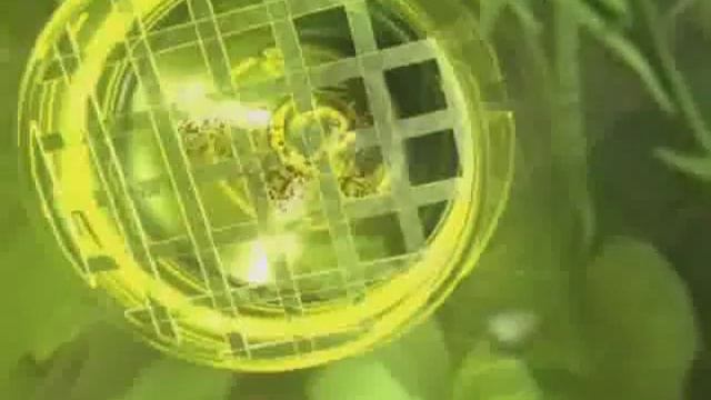 Сифон Tetratec GC