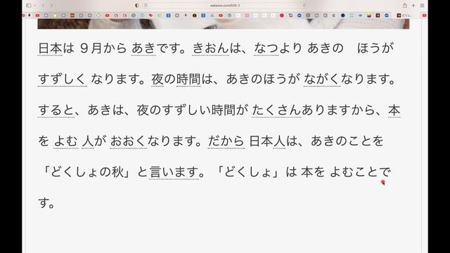 JLPT N4-N5. Чтение. どくしょのあき
