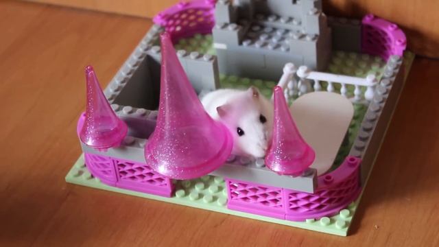 Fccd2b0e16d158f627f0cfbf5a625ad2