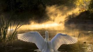 LJUDBOK BIBELN - 2 JOHANNESBREVET NT (¯`•.¸.•°*°•.