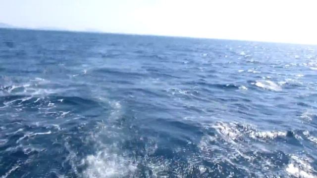 E6195e49c00dd7a56c07c5bcd69b419d