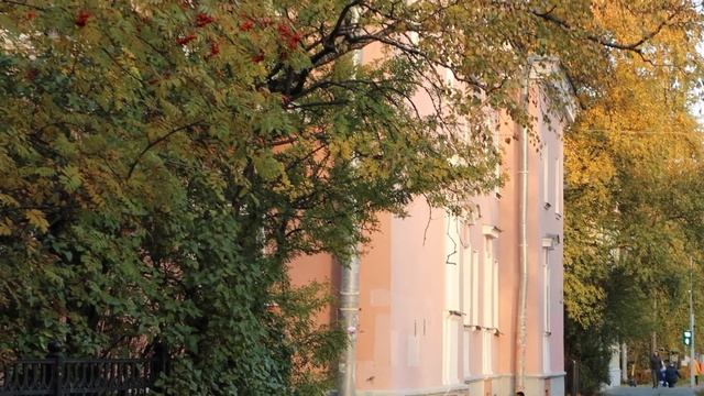 Silent VLOG: Осень в Петербурге: Петроградка, ул. Дибуновская