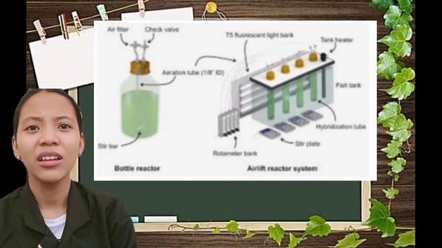 PHYSICAL AND CHEMICAL CONDITION IN CULTURING MICROALGAE