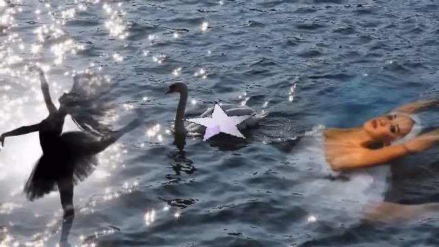 EL LAGO DE LOS CISNES_FELICIDADES MIRTA(palomaML63