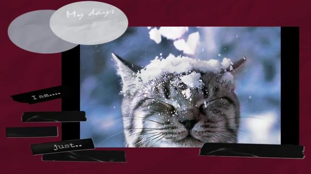 B4861a32150278abe5b39fd4c7b6156d