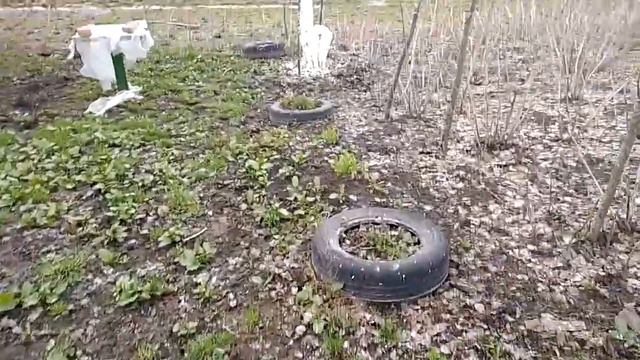 Db05ca6fa534ba28bee9cec72e81ec20