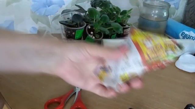 Последние посылки с фиалками в этом году.