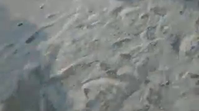 балаково 1мкр