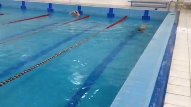 7bfa9ae1c3e5dbf853e1666b4478861b