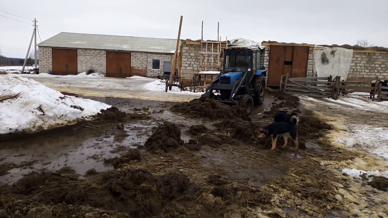 МТЗ 82.1 чистим сарай