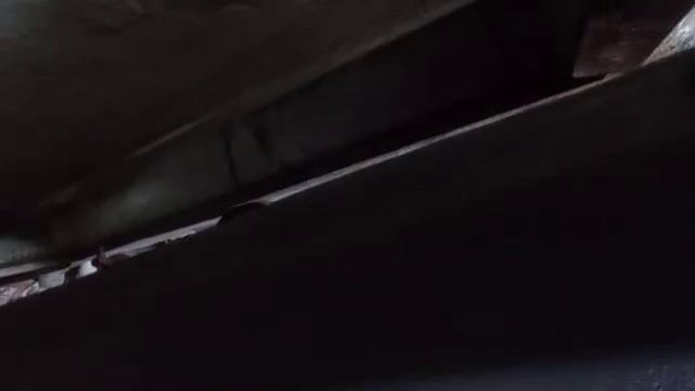 Кулинарное творчество без границ 