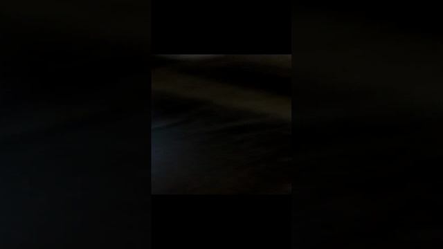 Первое яйцо от кур молодок! #Леггорн