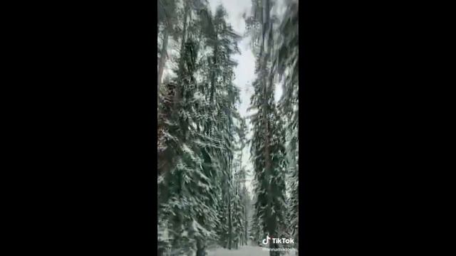 Грибной магнат