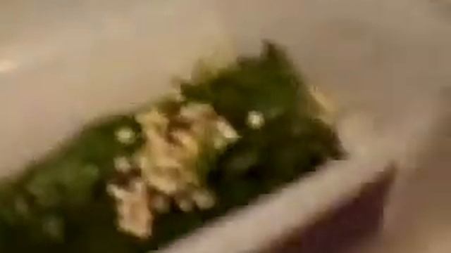 ИнкубациЯ улиток ахатин