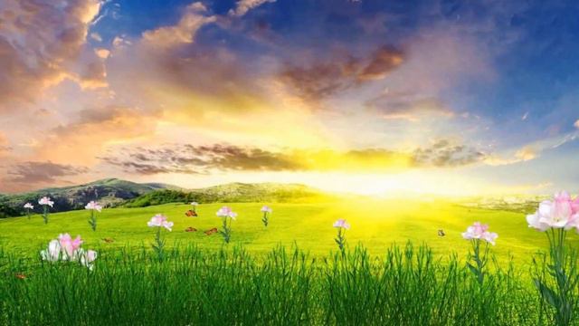 Vivaldi ⇨ Spring