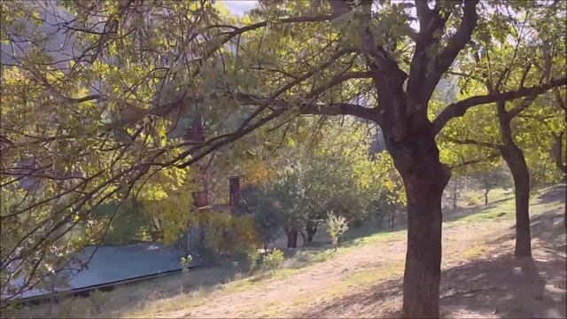 ТБИЛИСИ,ЧЕРЕПАШЬЕ ОЗЕРО,ПРОГУЛКА,КОНВЕРТИКИ НА ЗАВТРАК-ПРОСТО И ВКУСНО