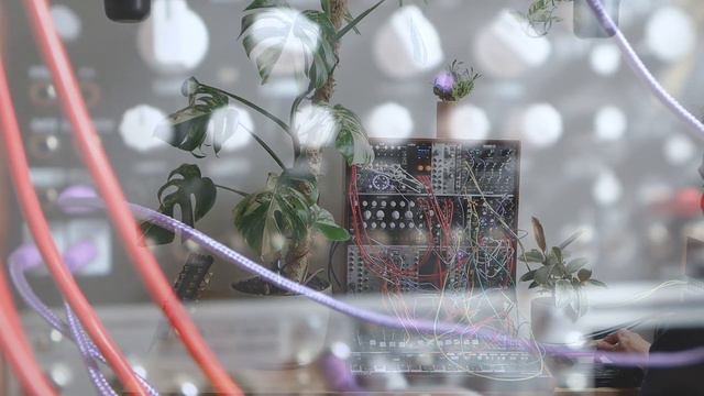 Anthurium — Variegata [epic, Uplifting Ambient Eurorack Synthesizer Jam With SWN, Magneto & Friends