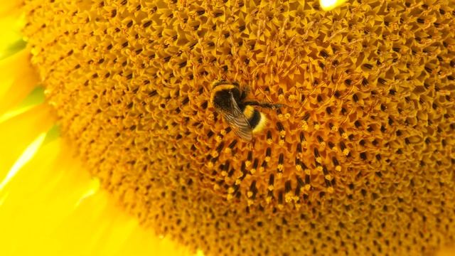 Озеро Талкас, руины в Зилаире и гора-пирамида. Путешествуем по Южному Уралу #3 | Ураловед | 4К