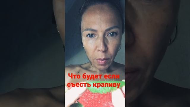 Съела крапиву и слегка приофигела?
