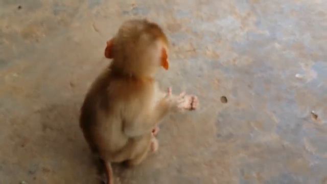 Is Sekiro A Good First Souls-Like Game?