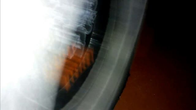 [a S H] Сабвуфер мистери 10 ка  Часть 2  Ход динамика