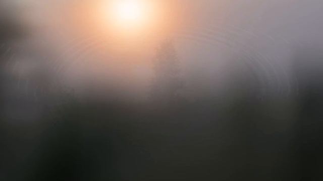 98a28acd3a1c2ca2783ed43803646e40